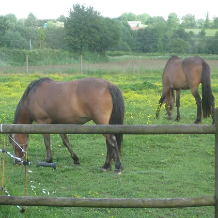 D'hotes Proche Puy Du Fou