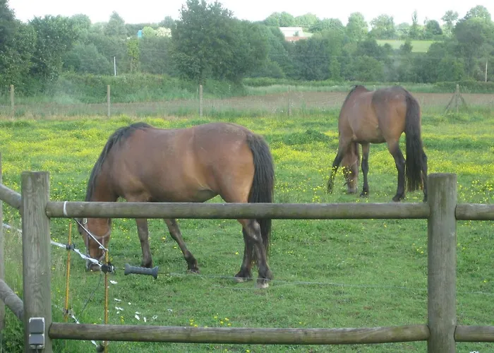 D'hotes Proche Puy Du Fou